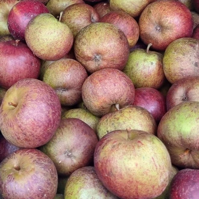 
                  
                    Stack of red and yellow apples
                  
                