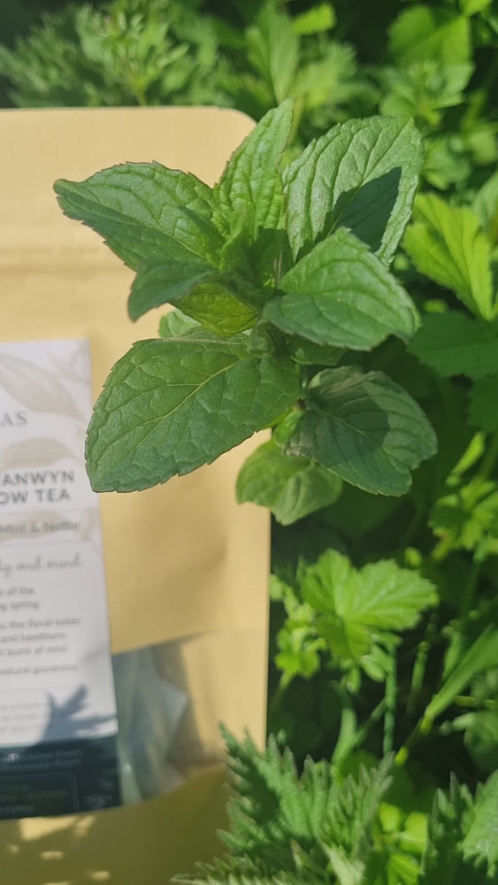 
                  
                    Load and play video in Gallery viewer, Spring Hedgerow Tea - Pack of 10
                  
                