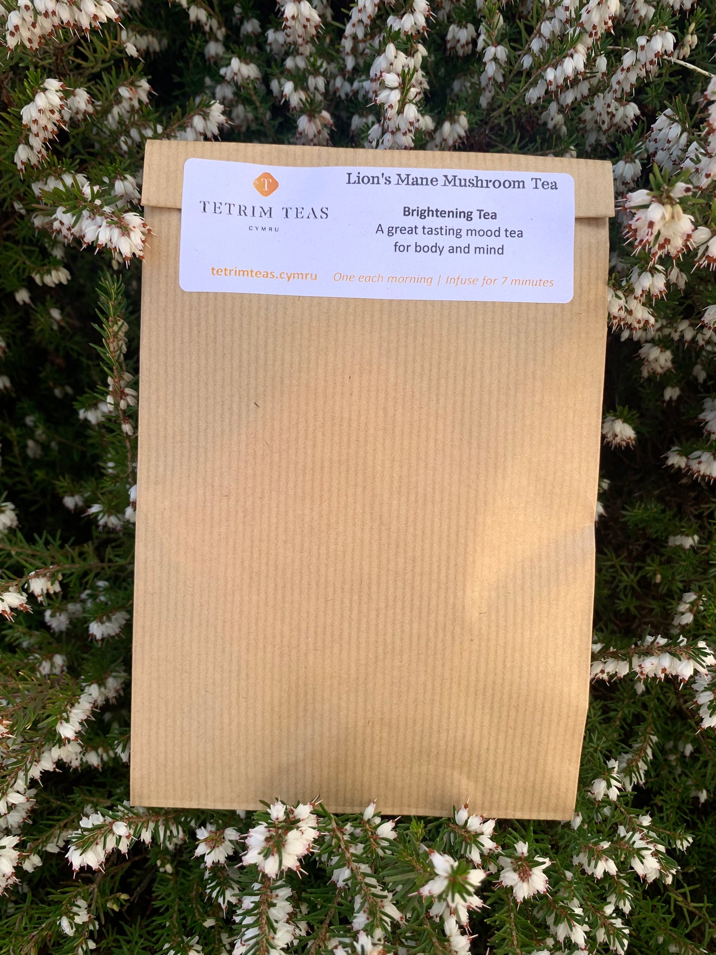 Blood pressure. Detox. Brain fog. Memory. Mental health. Anxiety. Depression. Gut health.